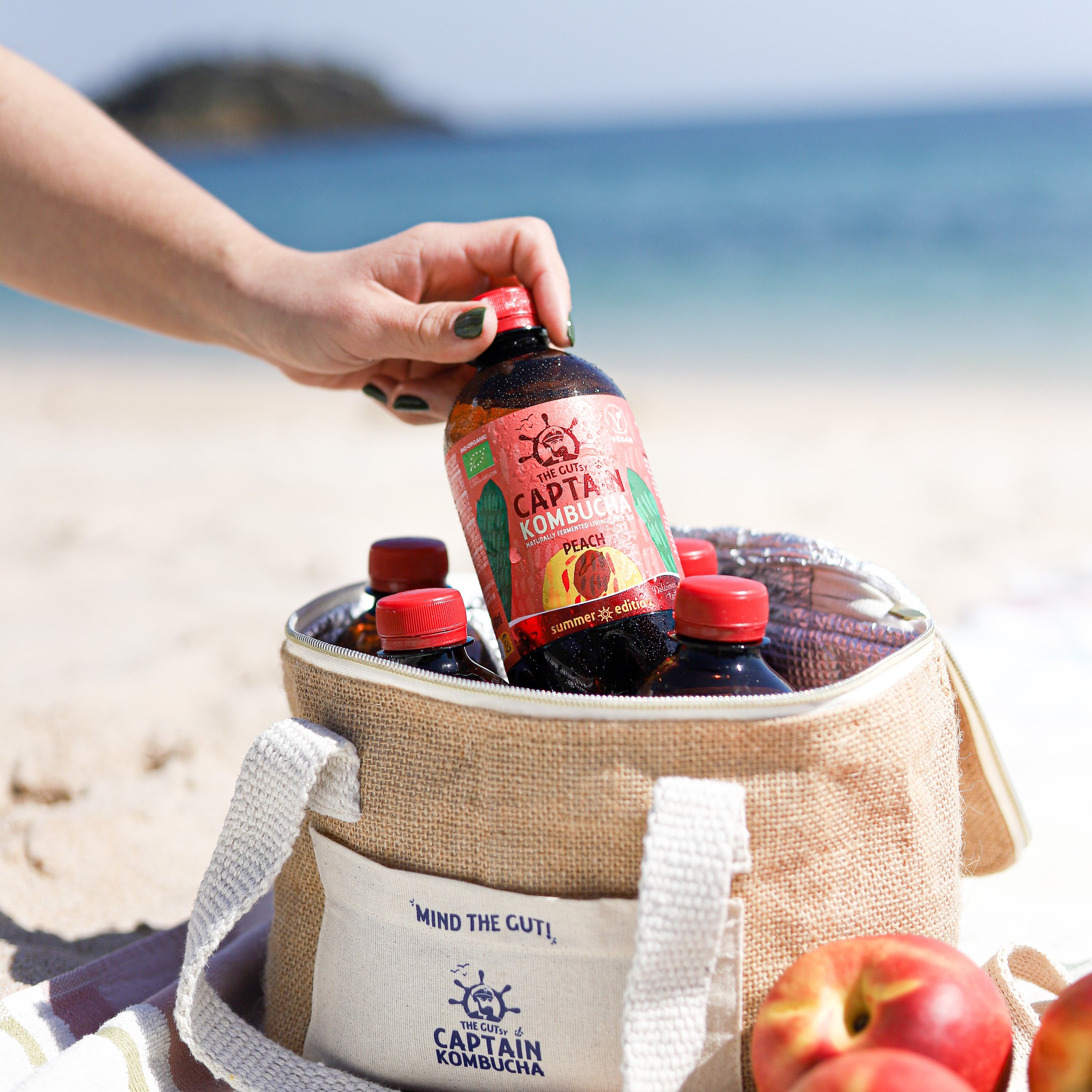 GUTsy Captain Kombucha - Letný broskyňový 12 x 400ml