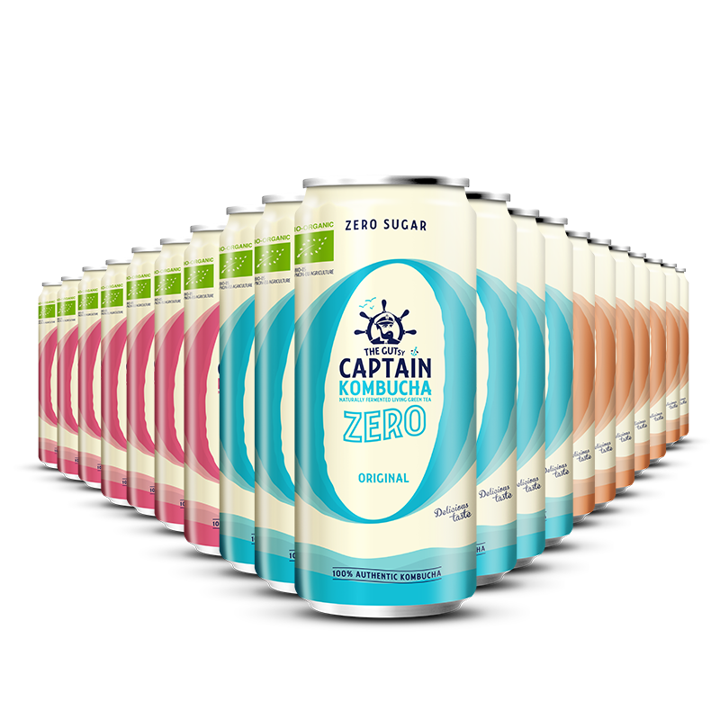 GUTsy Captain Kombucha Zero - balenie plechoviek s viacerými príchuťami 20 x 250ml